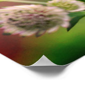 Fijne bloemen poster (Hoek)