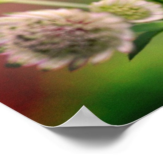 Fijne bloemen poster (Hoek)