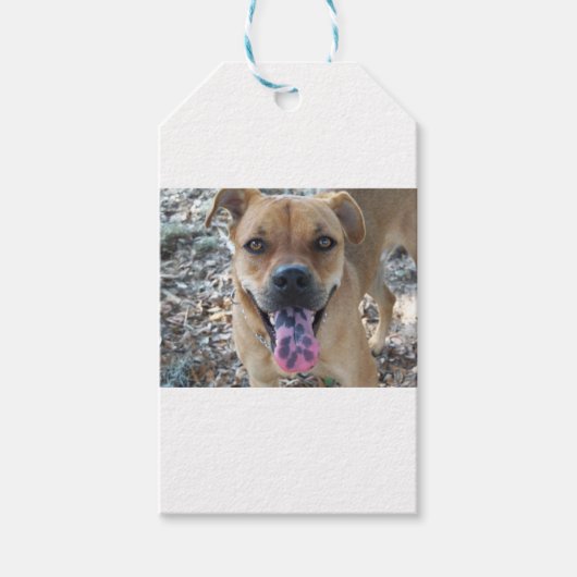 Fijne bruine hond met gevlekte tong cadeaulabel (Voorkant)