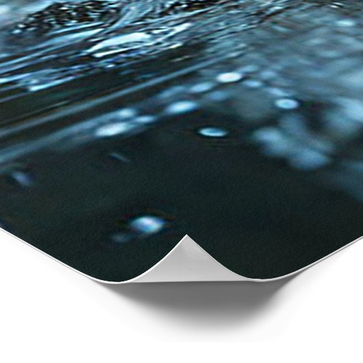 Fijne calla lelies poster (Hoek)