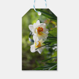 Fijne cute narcissen lente cadeaulabel