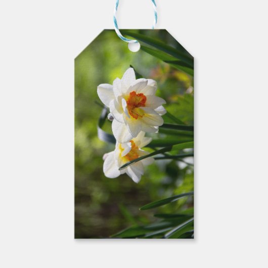 Fijne cute narcissen lente cadeaulabel (Voorkant)