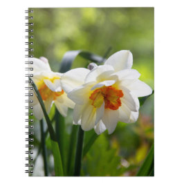 Fijne cute narcissen lente     notitieboek