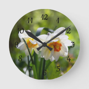 Fijne cute narcissen lente ronde klok