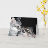 Fijne dag broers en zussen! kaart (Gele Bloem)