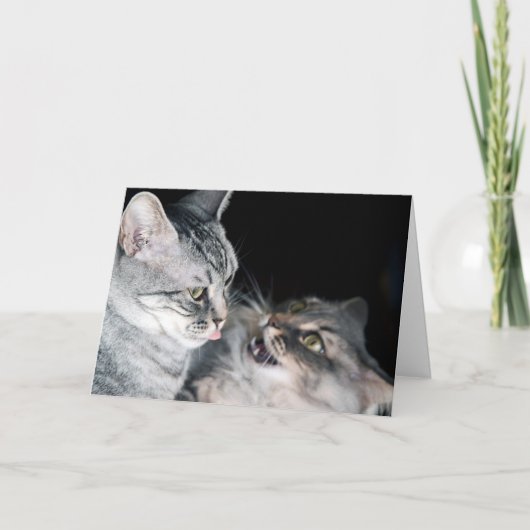 Fijne dag broers en zussen! kaart (Voorkant)