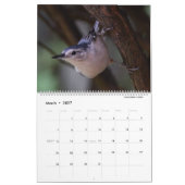 Fijne Feathered Friends 2025 Kalender (Mar 2027)