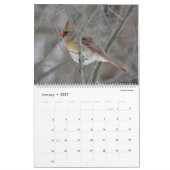 Fijne Feathered Friends 2025 Kalender (Jan 2027)
