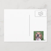 Fijne feestdagen! Beagle Snowy Bossen Post Kaart (Achterkant)