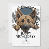 Fijne feestdagen Belgische Herdershond Kerstmis Feestdagenkaart (Voorkant)