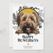 Fijne feestdagen Briard Dog Christmas Feestdagenkaart (Voorkant)