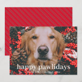 Fijne feestdagen| De Foto van de Pet van het Manus Feestdagenkaart (Voorkant / Achterkant)