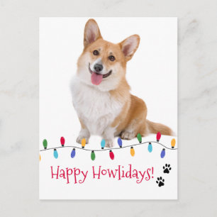 Fijne feestdagen Hond Foto Feestelijke kerstverlic Briefkaart