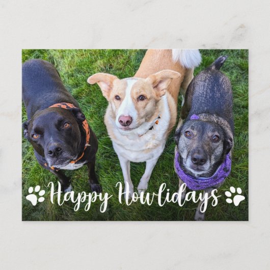 Fijne feestdagen Hond Foto Kerstmis (Voorkant)