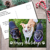 Fijne feestdagen Hond Foto Kerstmis