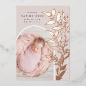 Fijne Folie verlaat | Aankondiging van de foto ter (Voorkant)