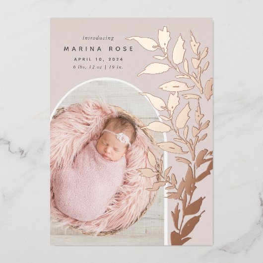 Fijne Folie verlaat | Aankondiging van de foto ter (Voorkant)