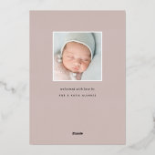 Fijne Folie verlaat | Aankondiging van de foto ter (Achterkant)