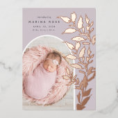 Fijne Folie verlaat | Aankondiging van de foto ter (Voorkant)