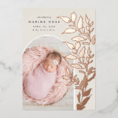 Fijne Folie verlaat | Aankondiging van de foto ter (Voorkant)