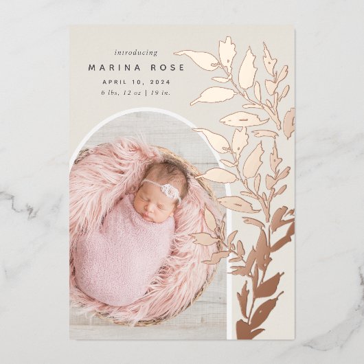 Fijne Folie verlaat | Aankondiging van de foto ter (Voorkant)