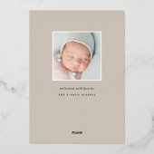 Fijne Folie verlaat | Aankondiging van de foto ter (Achterkant)