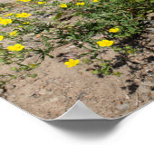 Fijne gele bloemen op zand poster (Hoek)