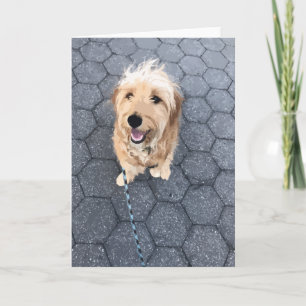Fijne Gouden Doodle Kaart