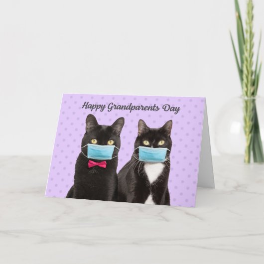 Fijne grootouderdag katten in Coronavirus maskers Kaart (Voorkant)