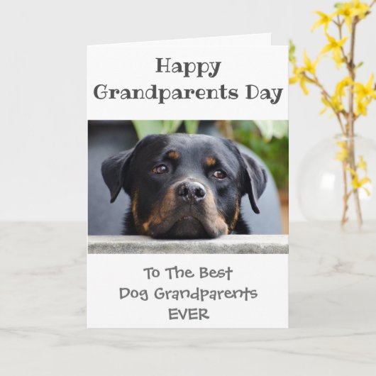 Fijne grootouderdag van de hond kaart (Gele Bloem)