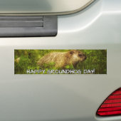 Fijne Groundhog Dag, bumpersticker (Op auto)