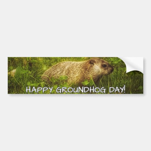 Fijne Groundhog Dag, bumpersticker (Voorkant)