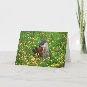 Fijne Groundhog Day Kaart! Kaart