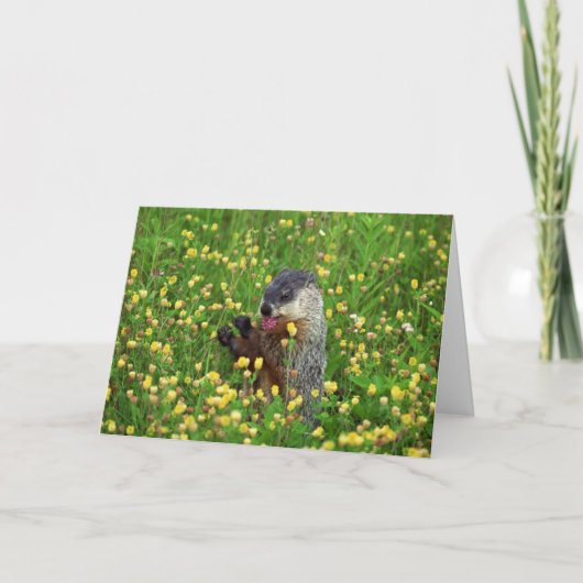 Fijne Groundhog Day Kaart! Kaart (Voorkant)