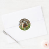 Fijne Groundhog Day! Schattig Ronde Sticker (Envelop)