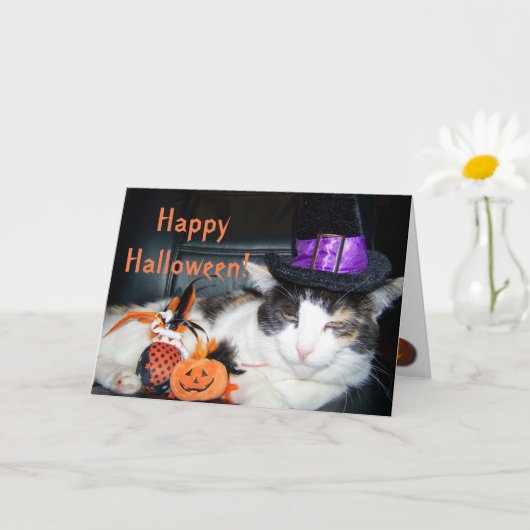 Fijne Halloween Heks Kat Kaart (Kleine Plant)