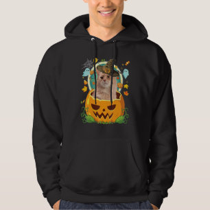 Fijne Halloween Pompoen Somalische Kat Heks Cute H Hoodie