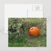 Fijne Halloween/Thanksgiving! Feestdagenkaart (Voorkant / Achterkant)