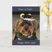Fijne Halloween! Trick or treat Yorkshire Terrier Kaart (Gele Bloem)
