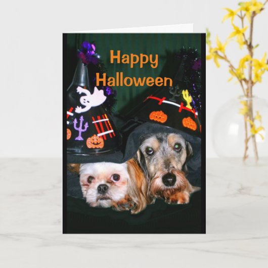 Fijne halloween - wees niet bang voor de schors! kaart (Gele Bloem)