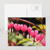 Fijne harten wachten briefkaart (Voorkant / Achterkant)