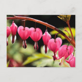 Fijne harten wachten briefkaart (Voorkant)