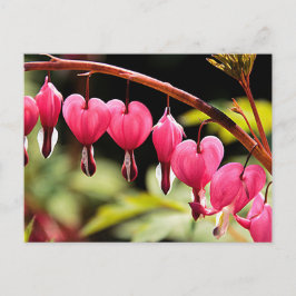 Fijne harten wachten briefkaart