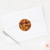 Fijne Herfst, pompoenen Ronde Sticker (Envelop)