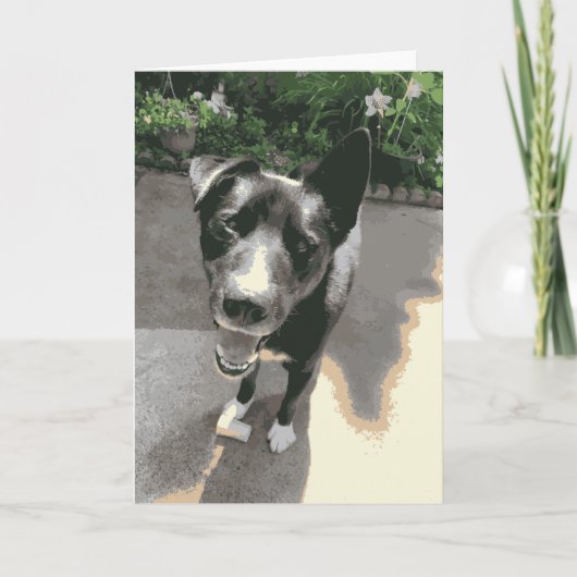 Fijne hond glimlachen met een zwart beenderzwart kaart (Voorkant)
