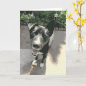 Fijne hond glimlachen met een zwart beenderzwart kaart (Gele Bloem)