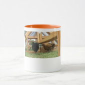 Fijne jonge kippen in hun nieuwe mok voor coop-kof (Midden)