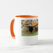 Fijne jonge kippen in hun nieuwe mok voor coop-kof (Voorkant links)