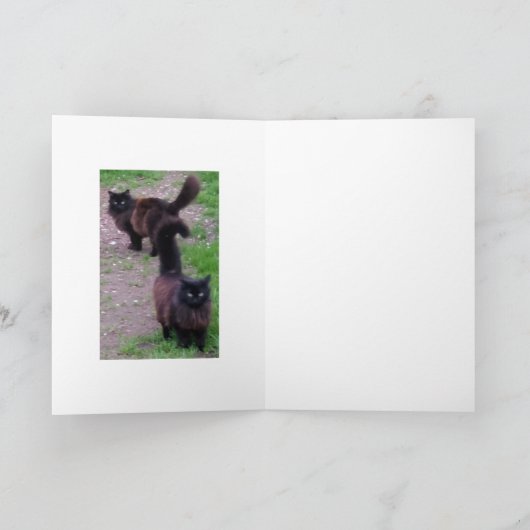 Fijne Jubileum Kat Card Kaart (Binnen)