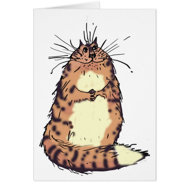 Fijne kat (Voorkant)